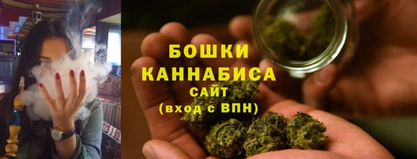 прущий лед Карпинск