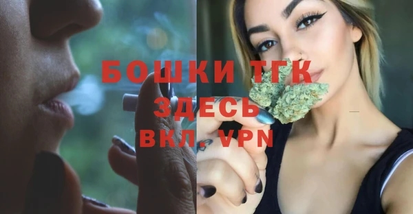 PSILOCYBIN Абаза