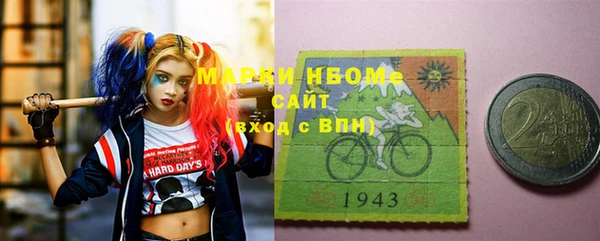 твердый Новодвинск