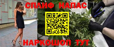 СК Конаково