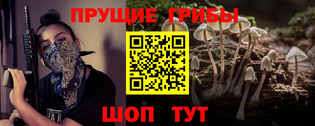 Таганрог  Псилоцибиновые грибы прущие грибы  Вход с VPN  Галлюциногенные грибы Magic Shrooms 